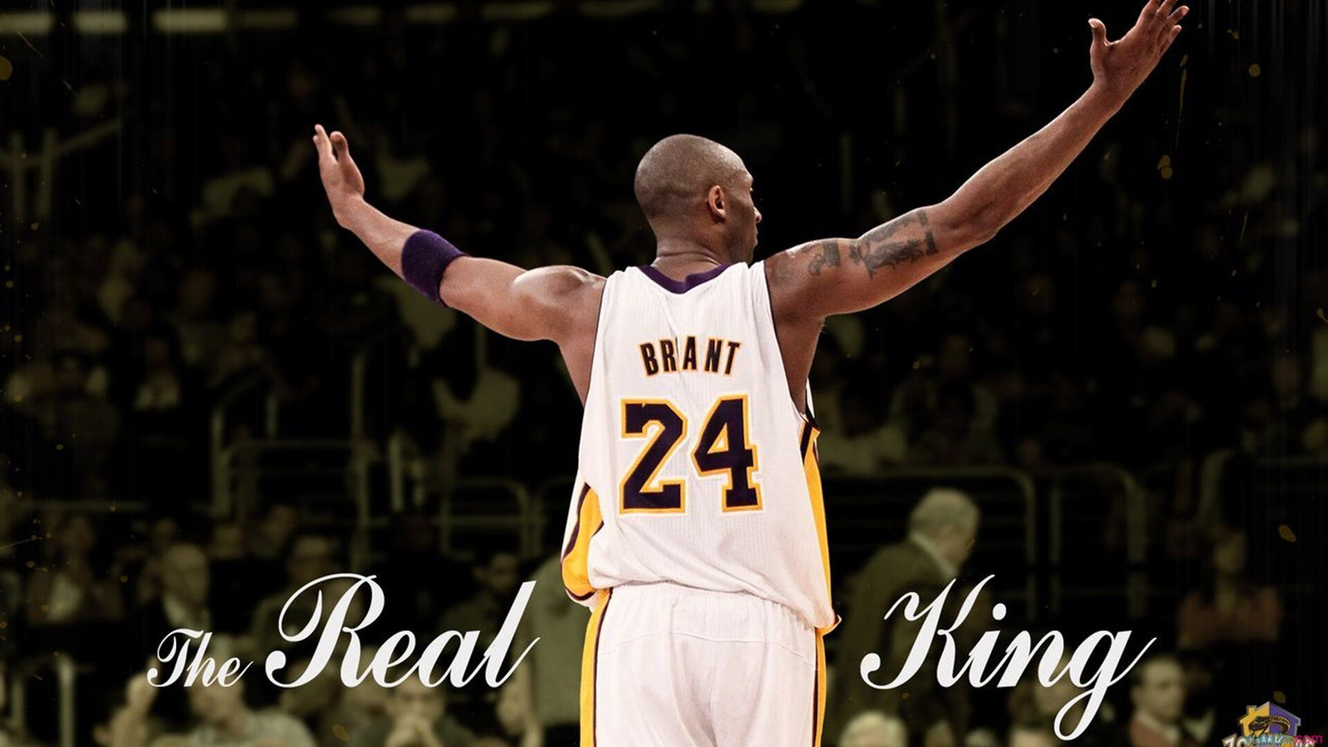 体育教育助力青少年全面发展 校园运动热潮再掀新篇章