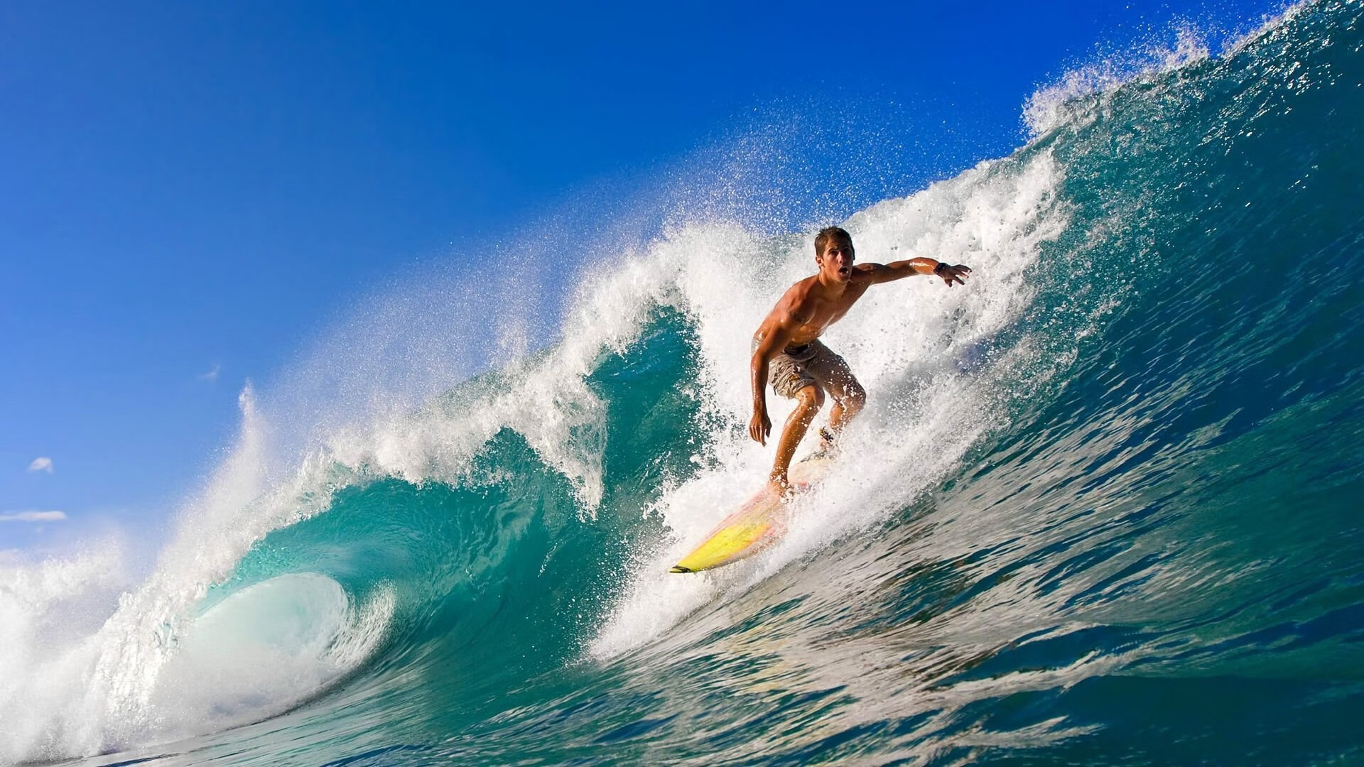 费德勒退役一周年，传奇谢幕，网球世界永恒的回响