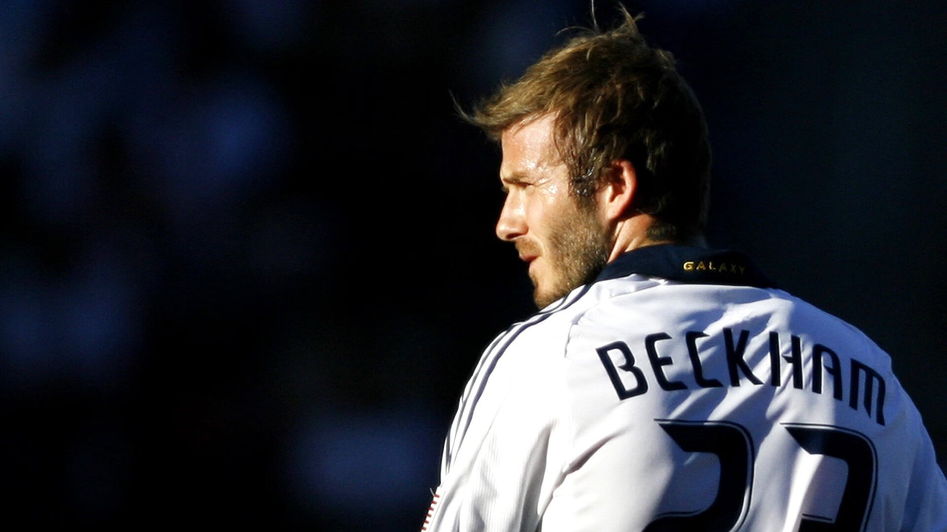 自由泳巅峰对决，世界冠军打破纪录，新星闪耀国际泳坛